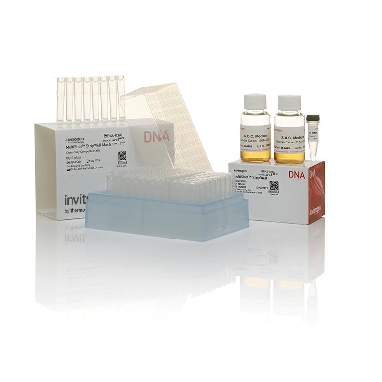 Invitrogen™ MultiShot™ StripWell Mach1™ T1 Phage-Resistant Chemically Competent E. coli