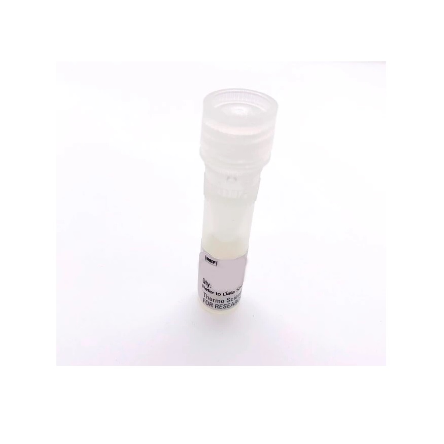 Thermo Scientific™ pCMV-Green Renilla Luc Vector for Luciferase Assays