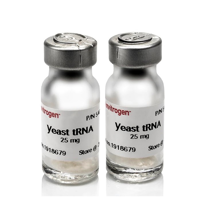 Invitrogen™ Yeast tRNA, 25 mg