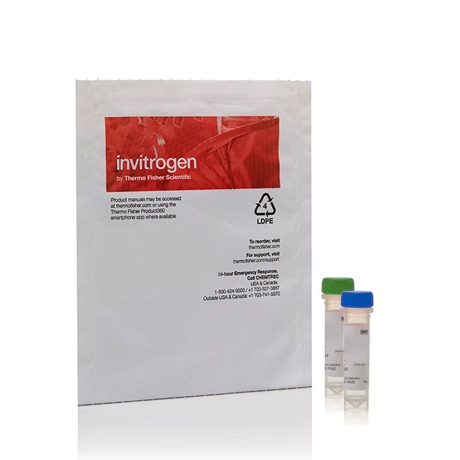 Invitrogen™ CellLight™ Golgi-RFP, BacMam 2.0