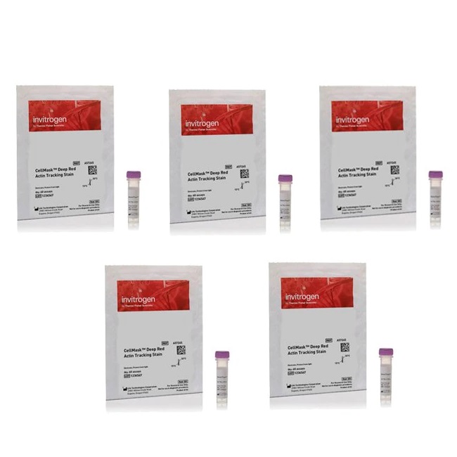Invitrogen™ CellMask™ Deep Red Actin Tracking Stain, 5 x 60 assays