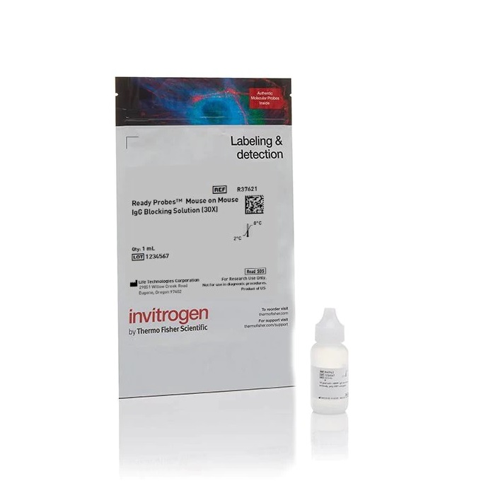 Invitrogen™ ReadyProbes™ Mouse-on-Mouse IgG Blocking Solution (30X)
