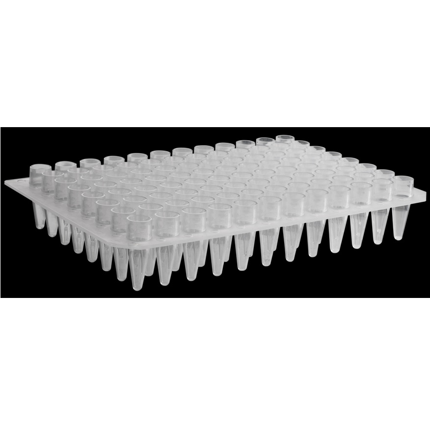 Axygen® 96-well Polypropylene PCR Microplate, No Skirt, Elevated Wells, Compatible with MegaBACE Sequencer, Clear, Nonsterile