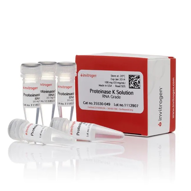 Invitrogen™ Proteinase K Solution (20 mg/mL), RNA grade