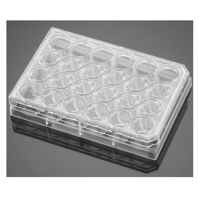 Corning® BioCoat® Collagen I 24-well Clear Flat Bottom TC-treated Multiwell Plate, with Lid, 50/Cs