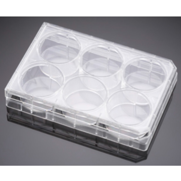 Falcon® 6-well Cell Clear Flat Bottom TC-treated Multiwell Culture Plate, with Lid, Sterile