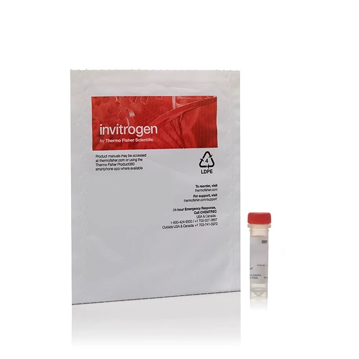 Invitrogen™ pHrodo™ Dyes for Amine Labeling, Deep Red, 1 mg