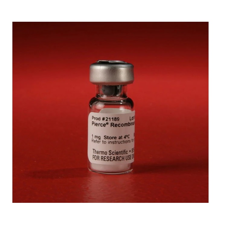 Thermo Scientific™ Pierce™ Recombinant Protein L, 5 mg