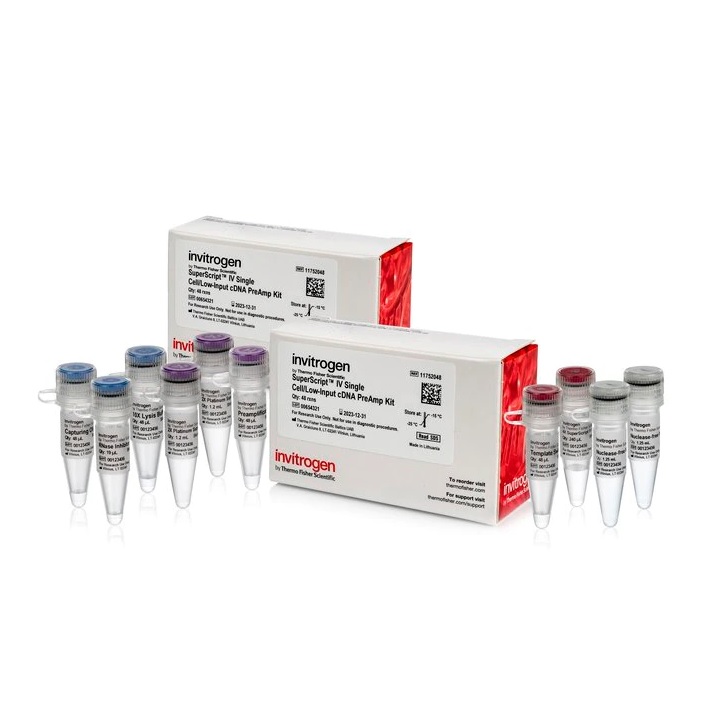 Invitrogen™ SuperScript™ IV Single Cell/Low Input cDNA PreAmp Kit, 48 Reactions