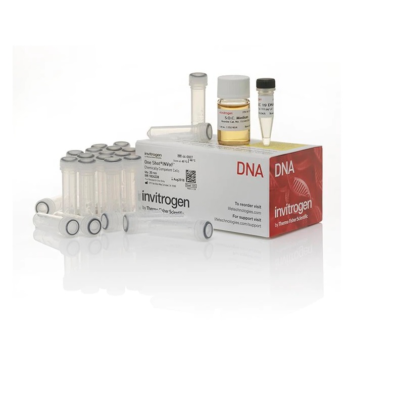 Invitrogen™ One Shot™ INVαF´ Chemically Competent E. coli