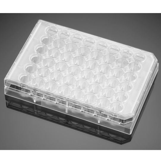 Falcon® 48-well Clear Flat Bottom TC-treated Cell Culture Plate, with Lid, Individually Wrapped, Sterile