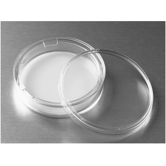 Corning® Transwell® with 0.4 µm Pore Polycarbonate Membrane Insert, Sterile, 75 mm