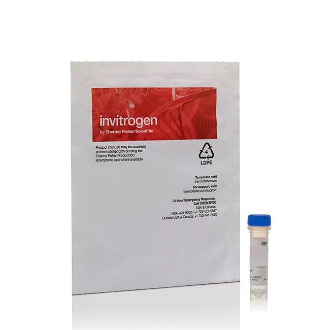 Invitrogen™ Rhodamine 110, bis-(p-Tosyl-L-Glycyl-L-Prolyl-L-Arginine Amide)