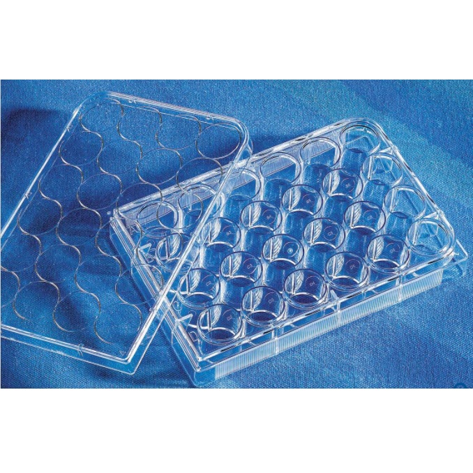 Corning® CellBIND® 24-well Clear Multiple Well Plates, Flat Bottom, with Lid, Sterile