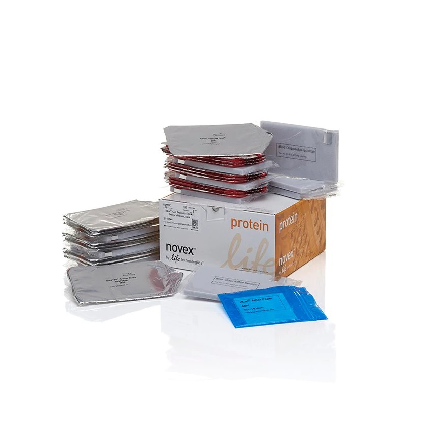 Invitrogen™ iBlot™ Transfer Stack, nitrocellulose, Mini, 3 x 10 Sets