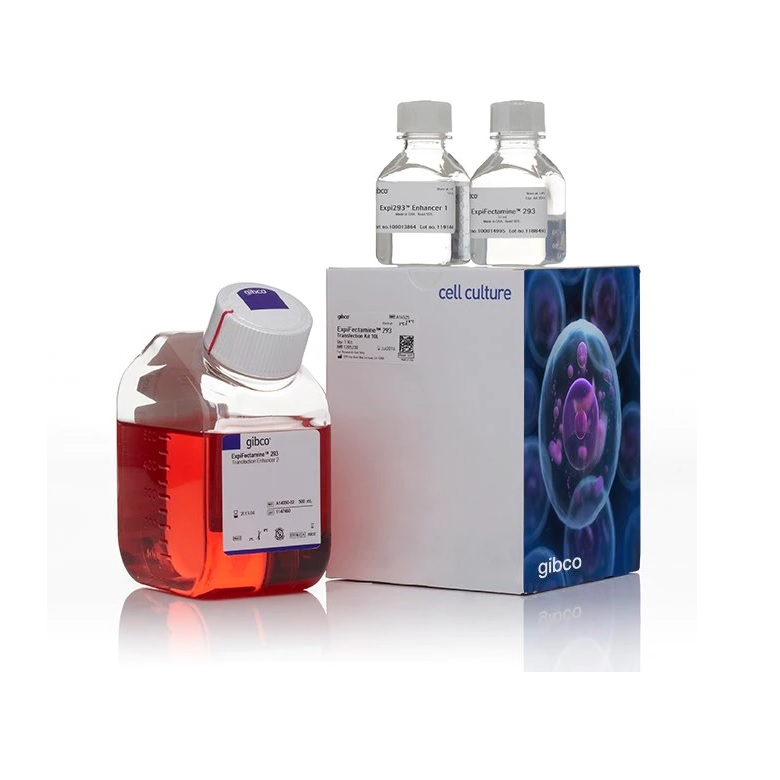Gibco™ ExpiFectamine™ 293 Transfection Kit, for 10 L culture