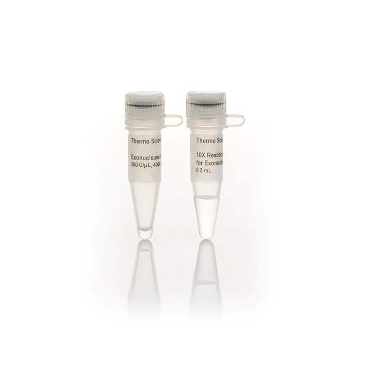 Thermo Scientific™ T7 Gene 6 Exonuclease