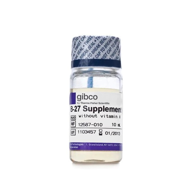 Gibco™ B-27™ Supplement (50X), minus vitamin A, 10 mL