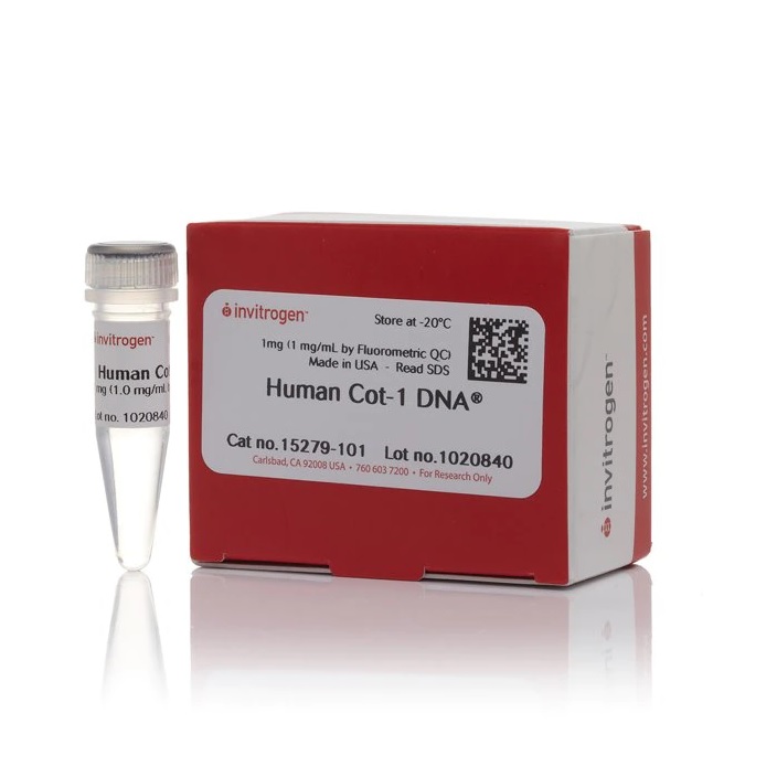 Invitrogen™ Human Cot-1 DNA™-Fluorometric QC