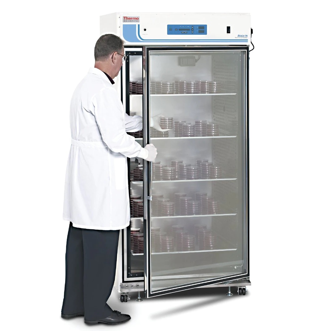 Thermo Scientific™ Large-Capacity Reach-In CO2 Incubator, 821 L, Polished Stainless Steel