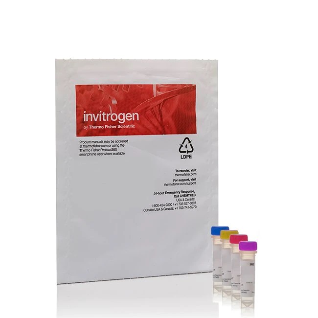 Invitrogen™ HCS DNA Damage Kit