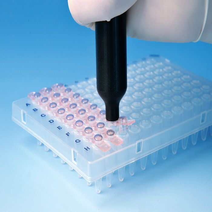 BRAND™ Cap Tool For Attaching and Detaching Caps on PCR Plates