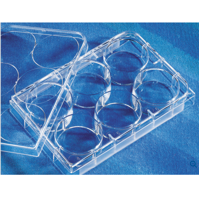 Corning® CellBIND® 6-well Clear Multiple Well Plates, Flat Bottom, with Lid, Sterile