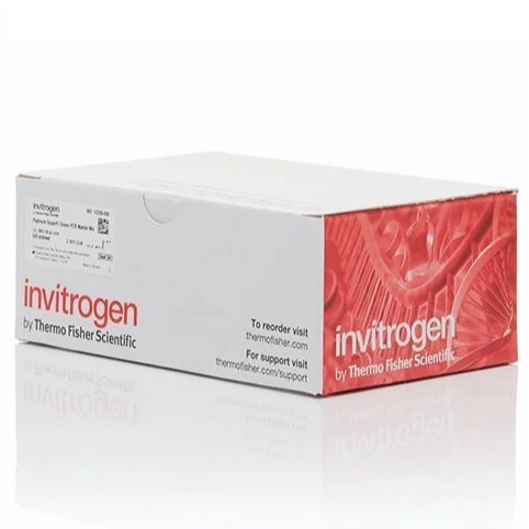 Invitrogen™ Apo-Direct Apoptosis Detection Kit