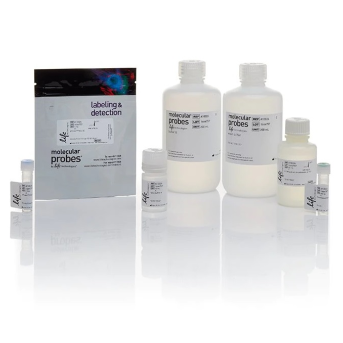 Invitrogen™ pHrodo™ Red Phagocytosis Particle Labeling Kit for Flow Cytometry