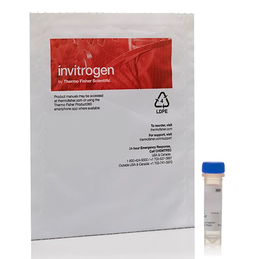 Invitrogen™ SYTOX™ Green Nucleic Acid Stain - 5 mM Solution in DMSO