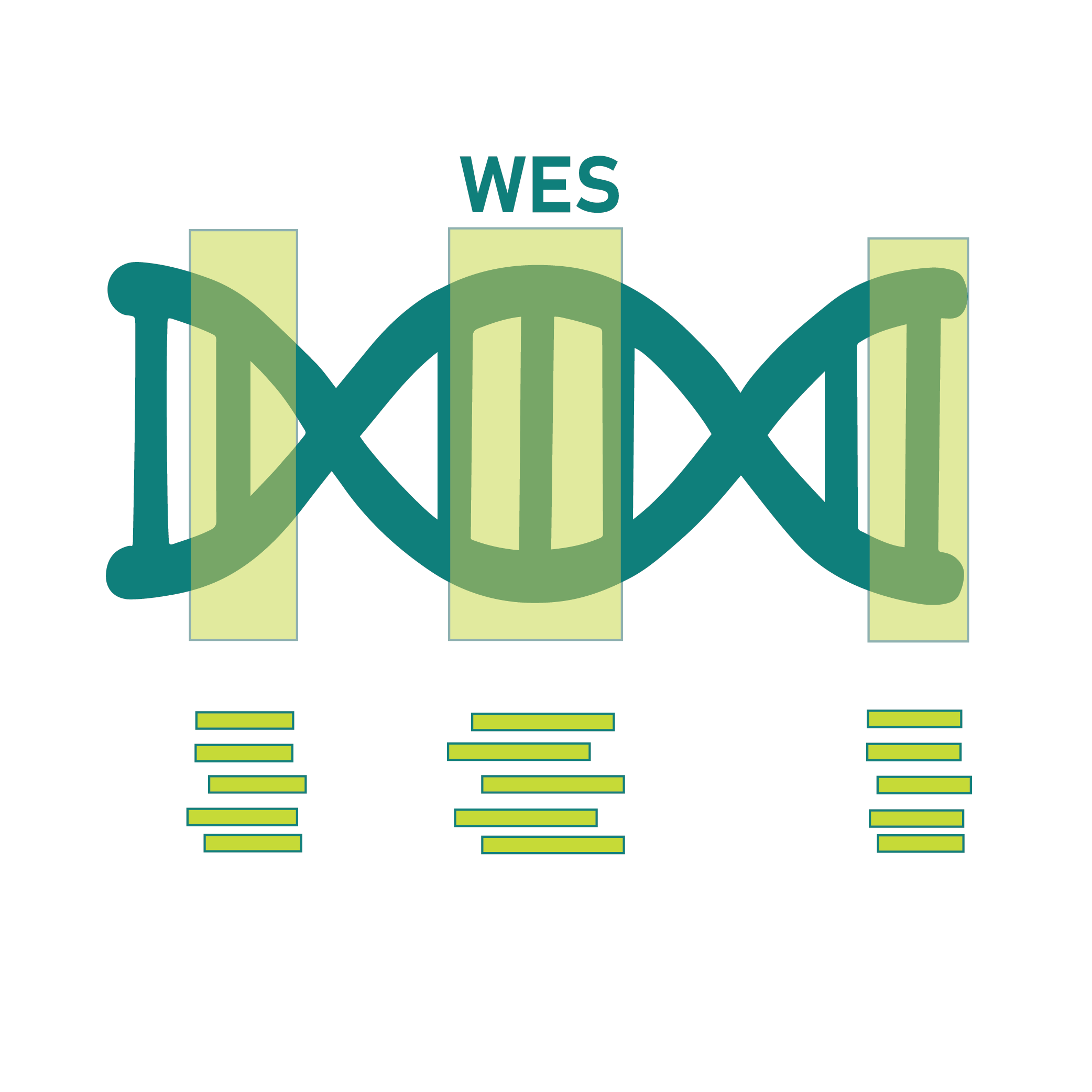 Whole Exome Sequencing (WES)