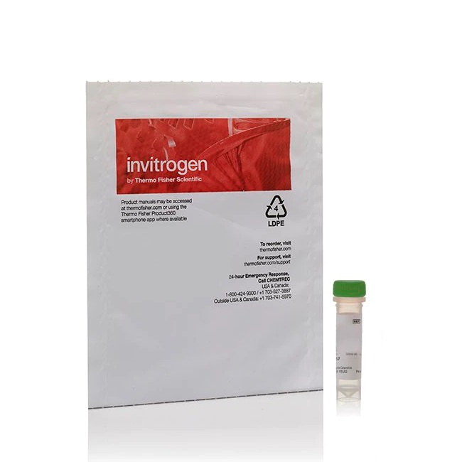 Invitrogen™ Image-iT™ Green Hypoxia Reagent, 1 vial