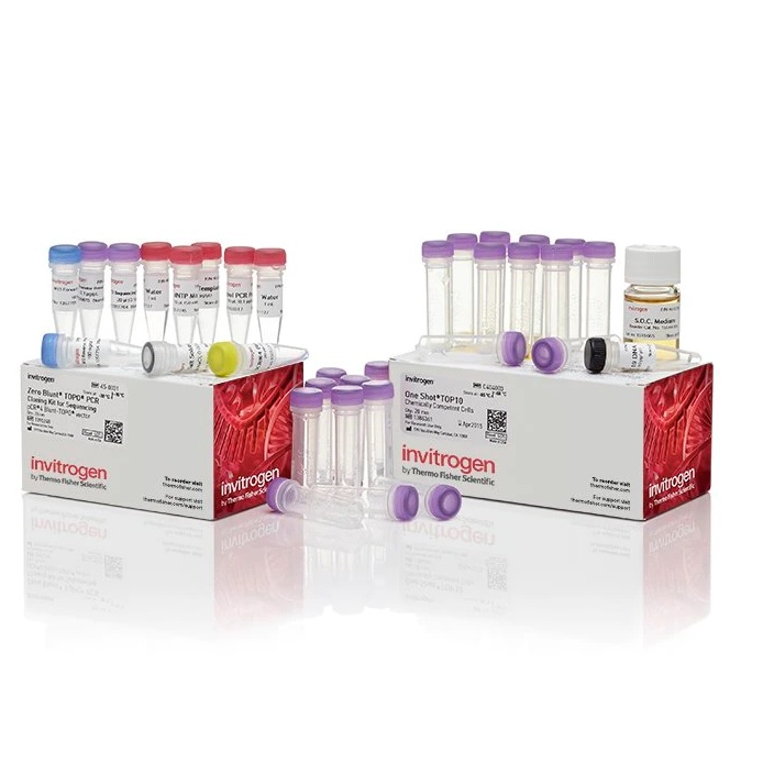 Invitrogen™ Zero Blunt™ TOPO™ PCR Cloning Kit for Sequencing, with One Shot™ TOP10 Chemically Competent E. coli, 10 Reactions