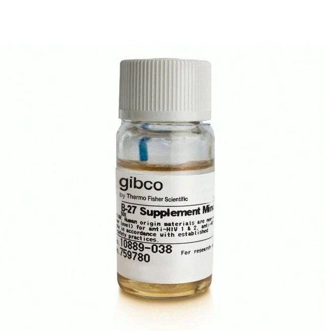 Gibco™ B-27™ Supplement (50X), minus antioxidants