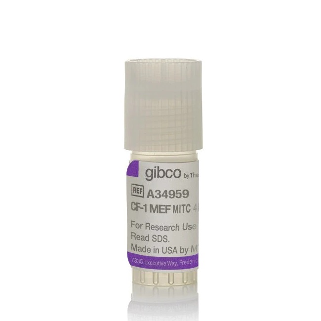 Gibco™ CF1 Mouse Embryonic Fibroblasts, MitC-treated, 4 x 10^6 cells