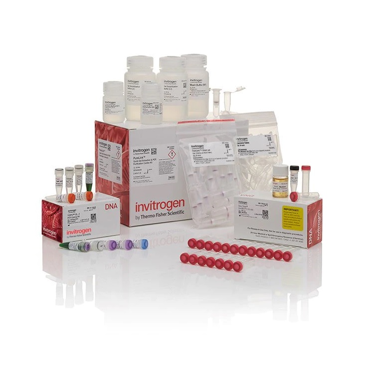 Invitrogen™ TOPO™ XL-2 Complete PCR Cloning Kit, with One Shot™ OmniMAX™ 2 T1R Chemically Competent E. coli Cells, 20 Reactions