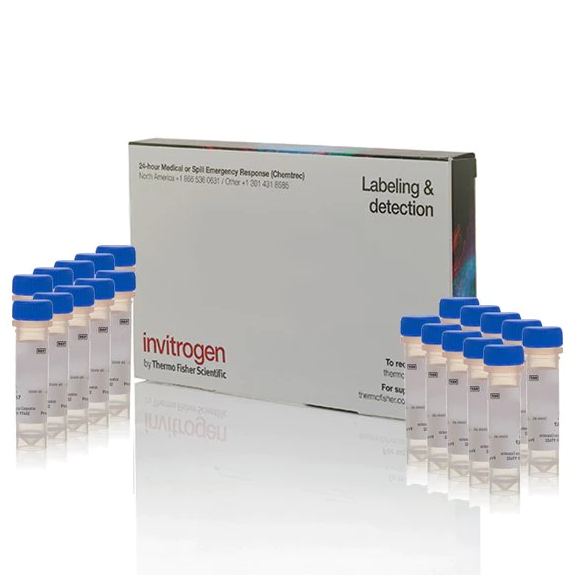 Invitrogen™ Indo-1, AM, cell permeant - Special Packaging