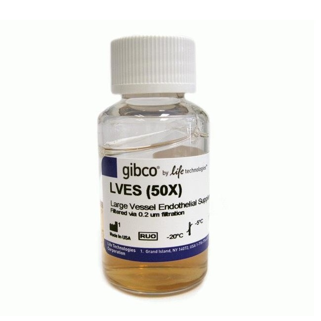 Gibco™ Large Vessel Endothelial Supplement (LVES)