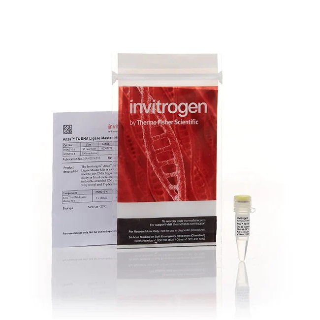 Invitrogen™ Anza™ T4 DNA Ligase Master Mix, 200 Reactions