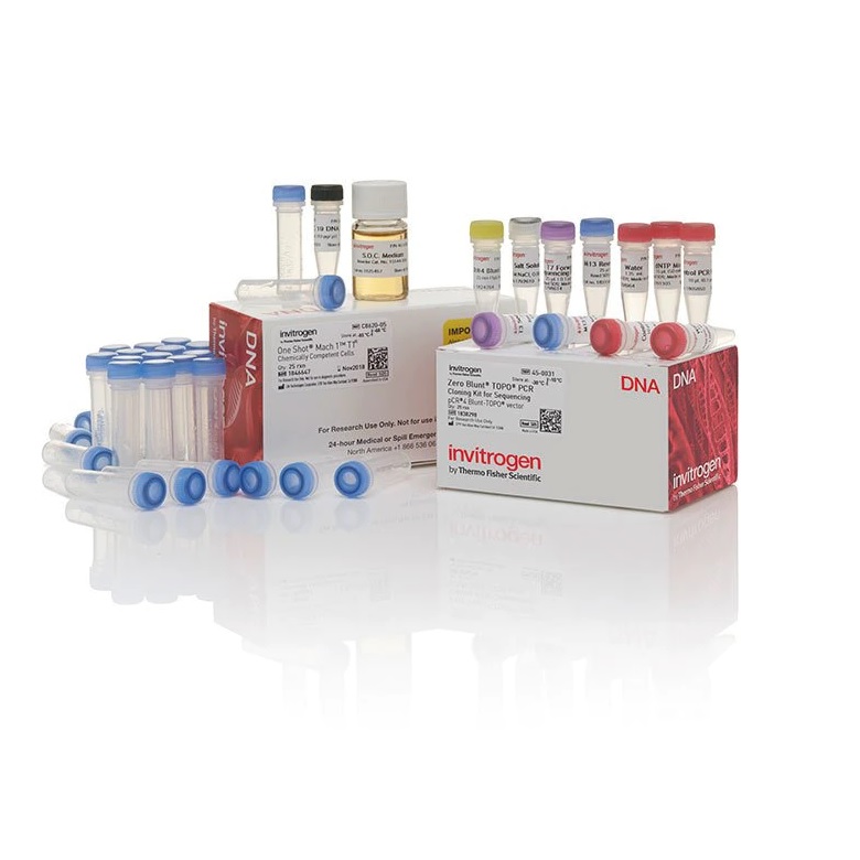 Invitrogen™ Zero Blunt™ TOPO™ PCR Cloning Kit for Sequencing, with One Shot™ Mach1™ T1 Phage-Resistant Chemically Competent E. coli