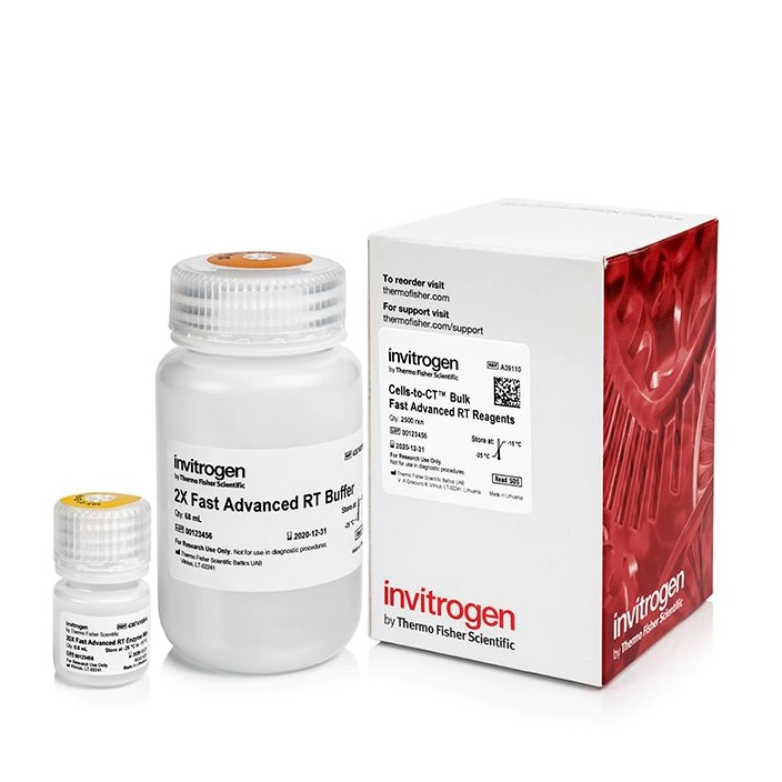 Invitrogen™ Cells-to-CT™ Bulk Fast Advanced RT Reagents