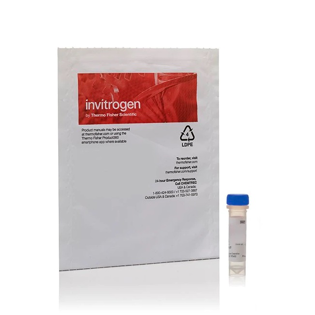 Invitrogen™ Staphylococcus aureus (Wood strain without protein A) BioParticles™, Alexa Fluor™ 594 conjugate