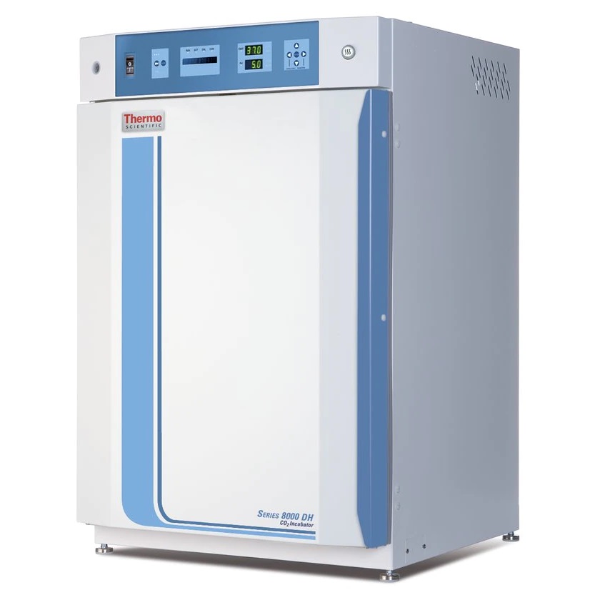 Thermo Scientific™ Series 8000 Direct-Heat CO2 Incubator, 184L