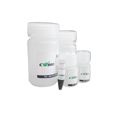 CWbio™, MagBead DNA Purification Kit (for NGS Size Selection), 5 ml
