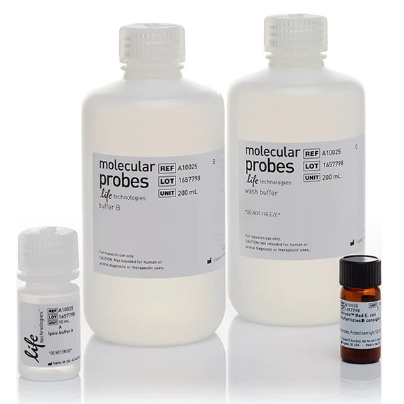 Invitrogen™ pHrodo™ Red E. coli BioParticles™ Phagocytosis Kit for Flow Cytometry