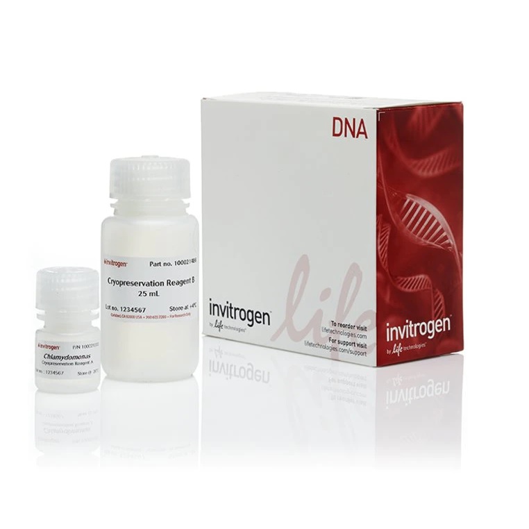 Invitrogen™ GeneArt™ Cryopreservation Kit for Algae