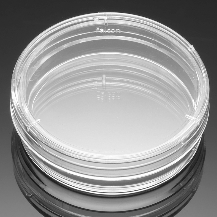 Falcon® Cell Culture Dish, 60 mm
