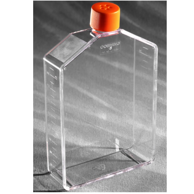 Corning® Angled Neck Cell Culture Flask with Vent Cap, 225 cm²