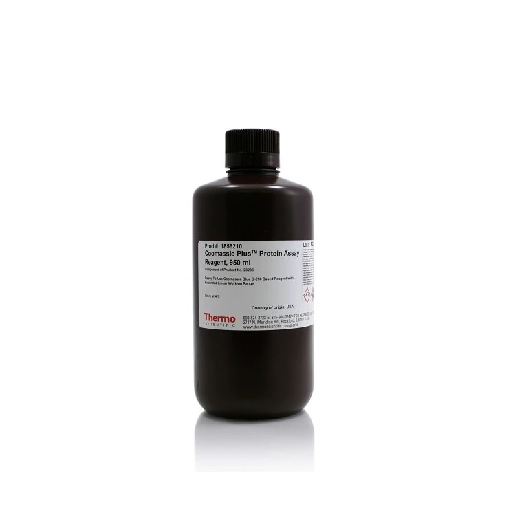 Thermo Scientific™ Pierce™ Coomassie Plus (Bradford) Assay Reagent
