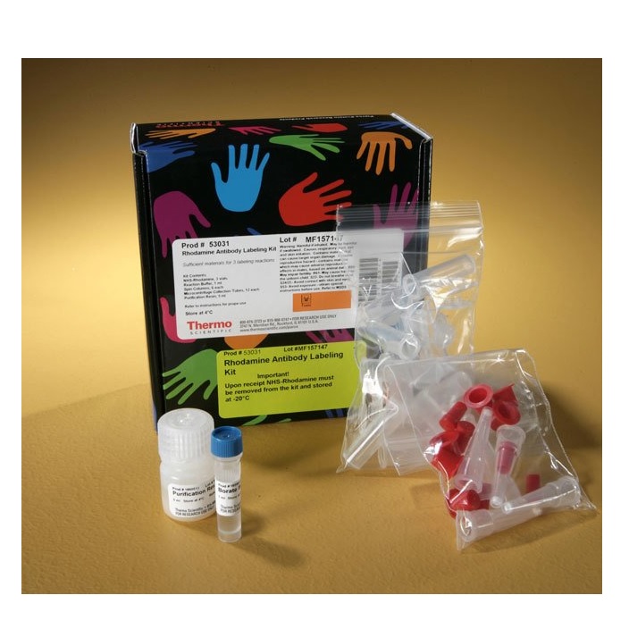 Thermo Scientific™ Pierce™ NHS-Rhodamine Antibody Labeling Kit